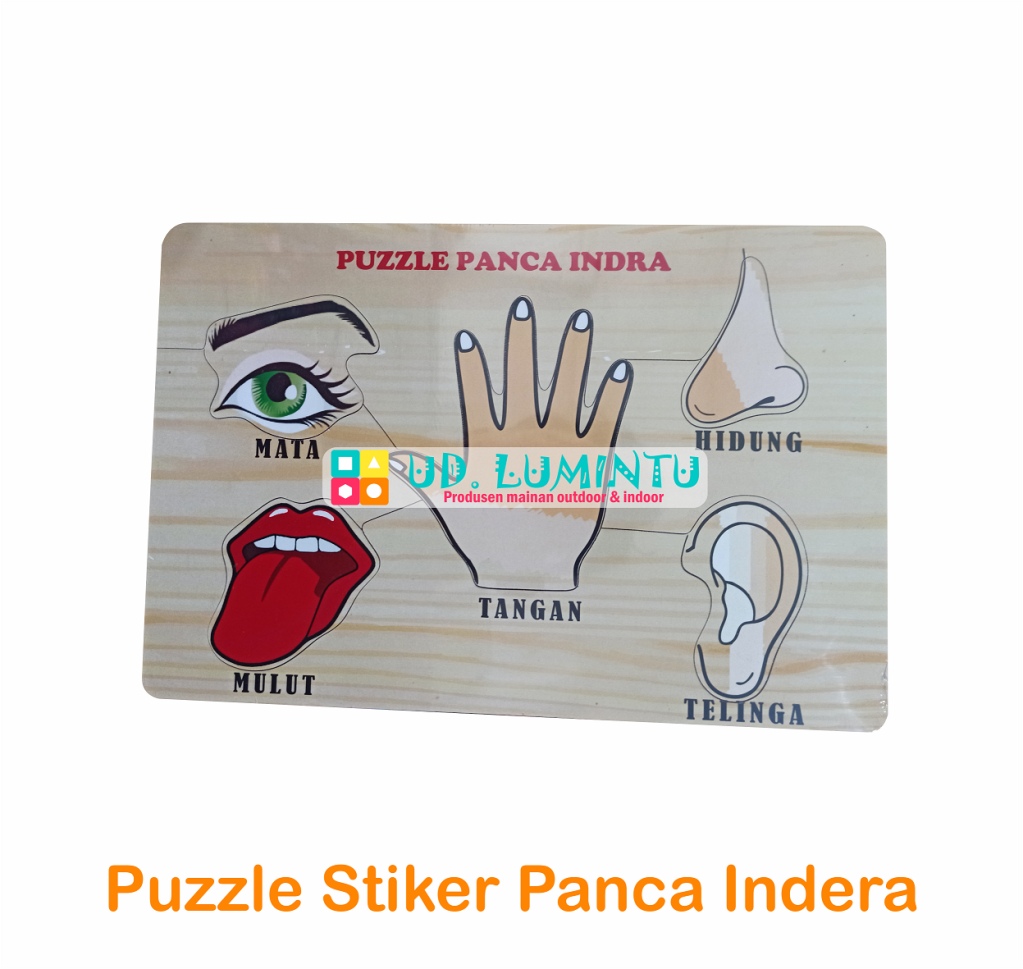 Puzzle Panca Indera